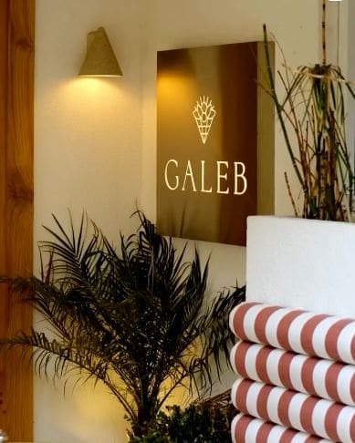 Galeb amblemi